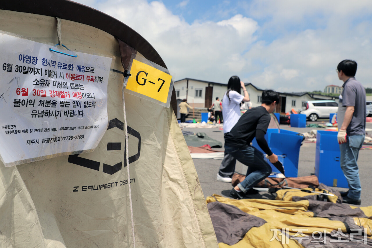 지난달 5일 새별오름에서 강제철거 텐트를 정비 중인 제주시 직원들. ⓒ제주의소리 자료사진