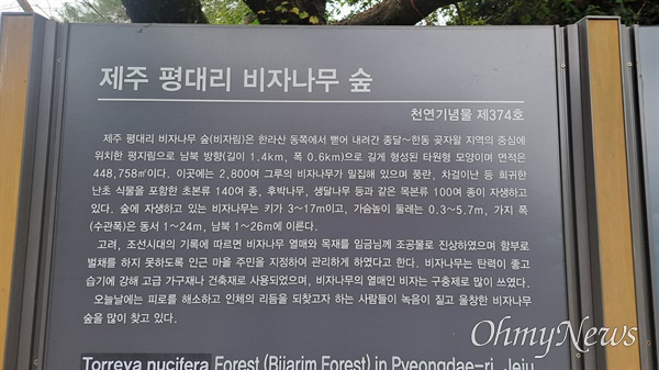 천연기념물 제374호인 제주 구좌읍 평대리 비자나무숲 안내표지판.<br>