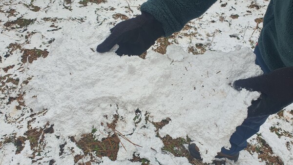 지난 4일 제주도청 신문고에 올라온 사진. 제주시 연동 상여오름 정상 부근에 흰 알갱이가 눈처럼 쌓여 있다.<br>