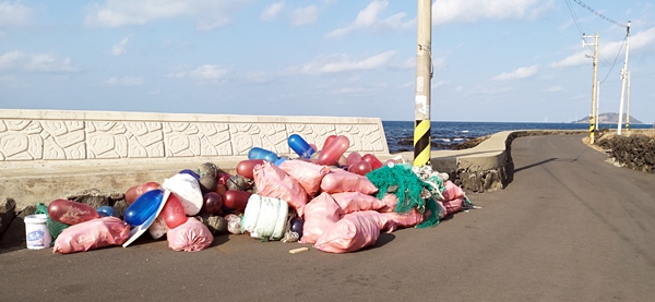 수거된 해양 쓰레기들. / 사진=윤용택