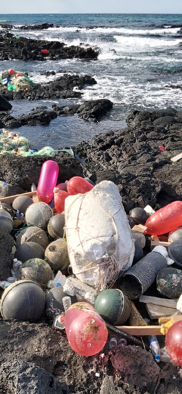 1월 중순 제주 서북쪽 해안에서 발견한 해양 쓰레기들. / 사진=윤용택