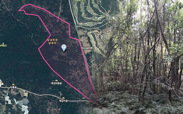 제주시 구좌읍 제주자연체험파크 조성사업 예정 부지. ⓒ제주의소리 자료사진<br>