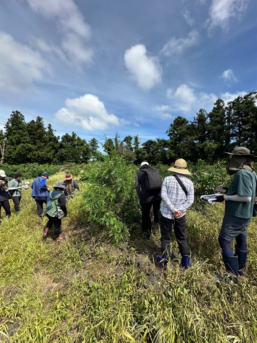 <strong>▲ 숨골 조사 </strong>지난 3일 제2공항 강행저지 비상도민회의 환경조사위원들과 도민들이 활주로 예정지 인근의 숨골을 조사하고 있다. ⓒ 제주 제2공항 강행저지 비상도민회의