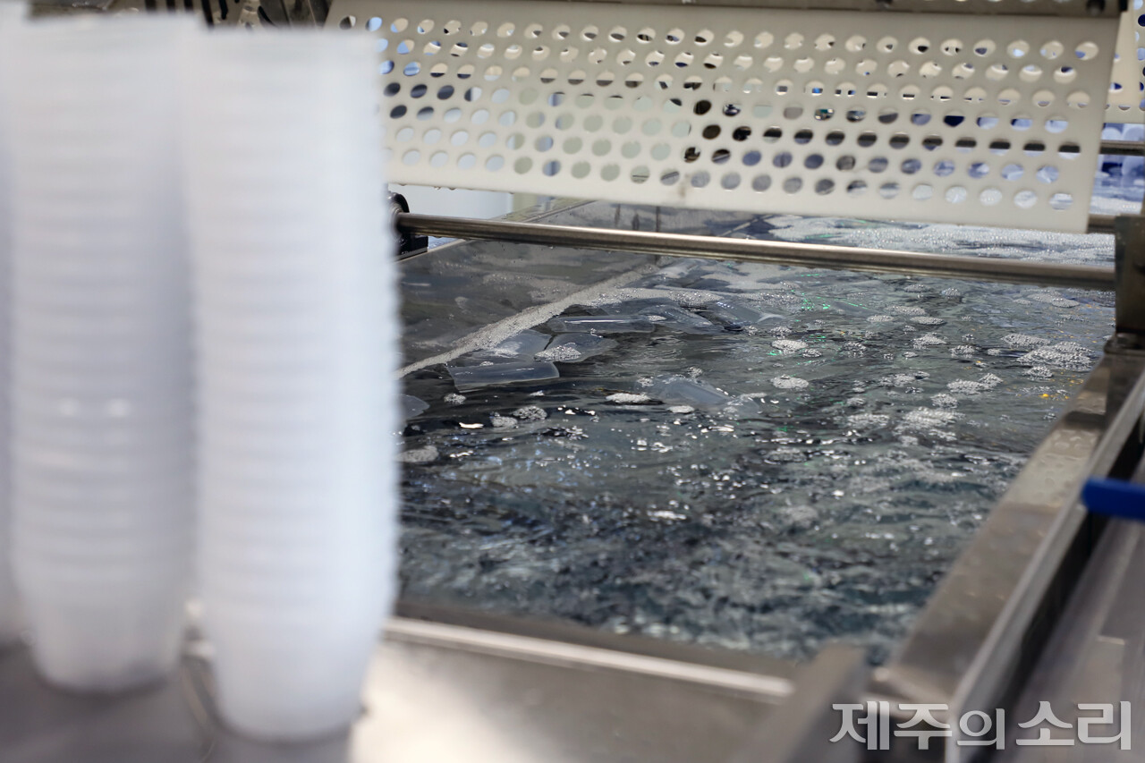 현재 우도면에서 사용 중인 다회용컵은 음료용과 아이스크림용 두 가지다. 세척센터에서는 애벌세척부터 초음파세척, 6단계 헹굼, 4단계 건조, 검수 등 과정을 통해 다회용컵을 카페에 납품하고 있다. ⓒ제주의소리