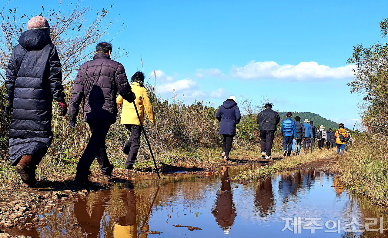 제주시 교래리공동목장 탐방 당시 모습. ⓒ제주의소리 자료사진