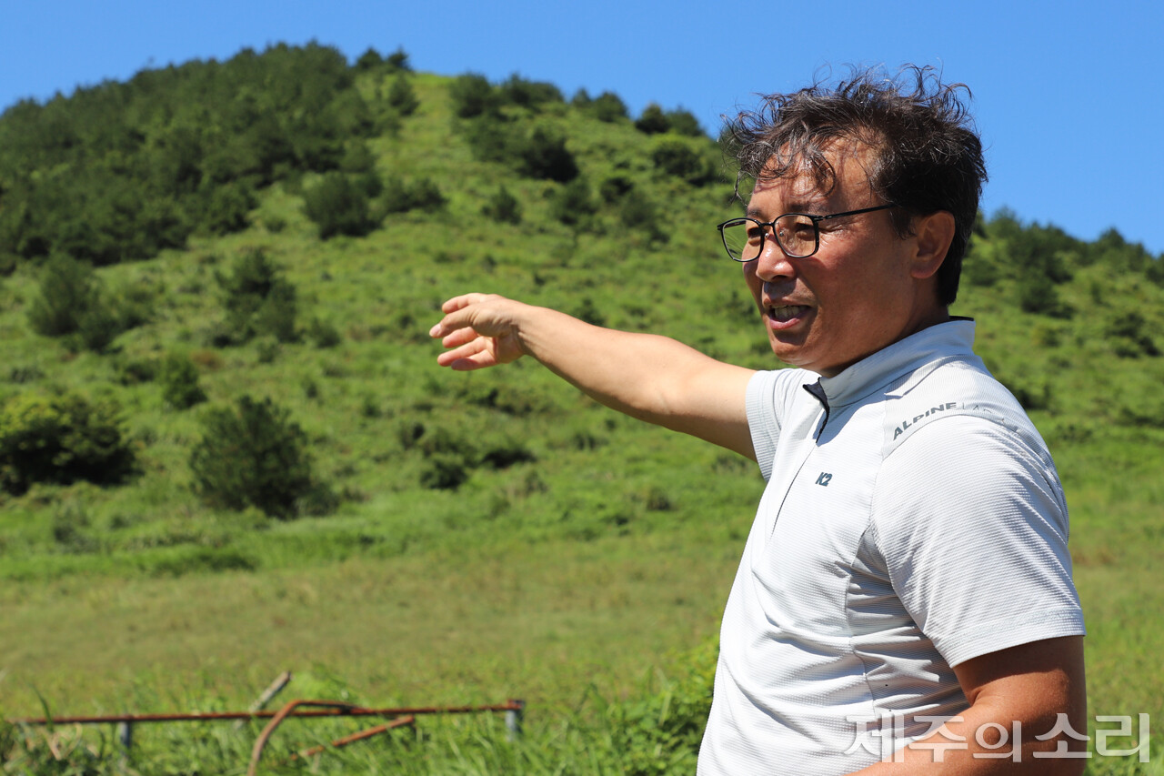 마을공동목장연합회 총무이자 송당상회 운영을 맡고 있는 안석찬 총무가 구좌읍 송당리 밧돌오름에 걸쳐진 목장에 대해 설명하고 있다. 사진 아래 보이는 쇠 울타리 흔적은 과거 소 진드기를 구제하던 장소였다. 또 밧돌오름이라는 이름은 옆 오름인 안돌오름과 연관된다. 제주 중산간 목초지의 목마장 경계에 소나 말이 정해진 구역을 벗어나지 않도록 쌓았던 돌담 '잣'을 경계로 안과 밖에 있는 오름이라는 뜻이다. ⓒ제주의소리