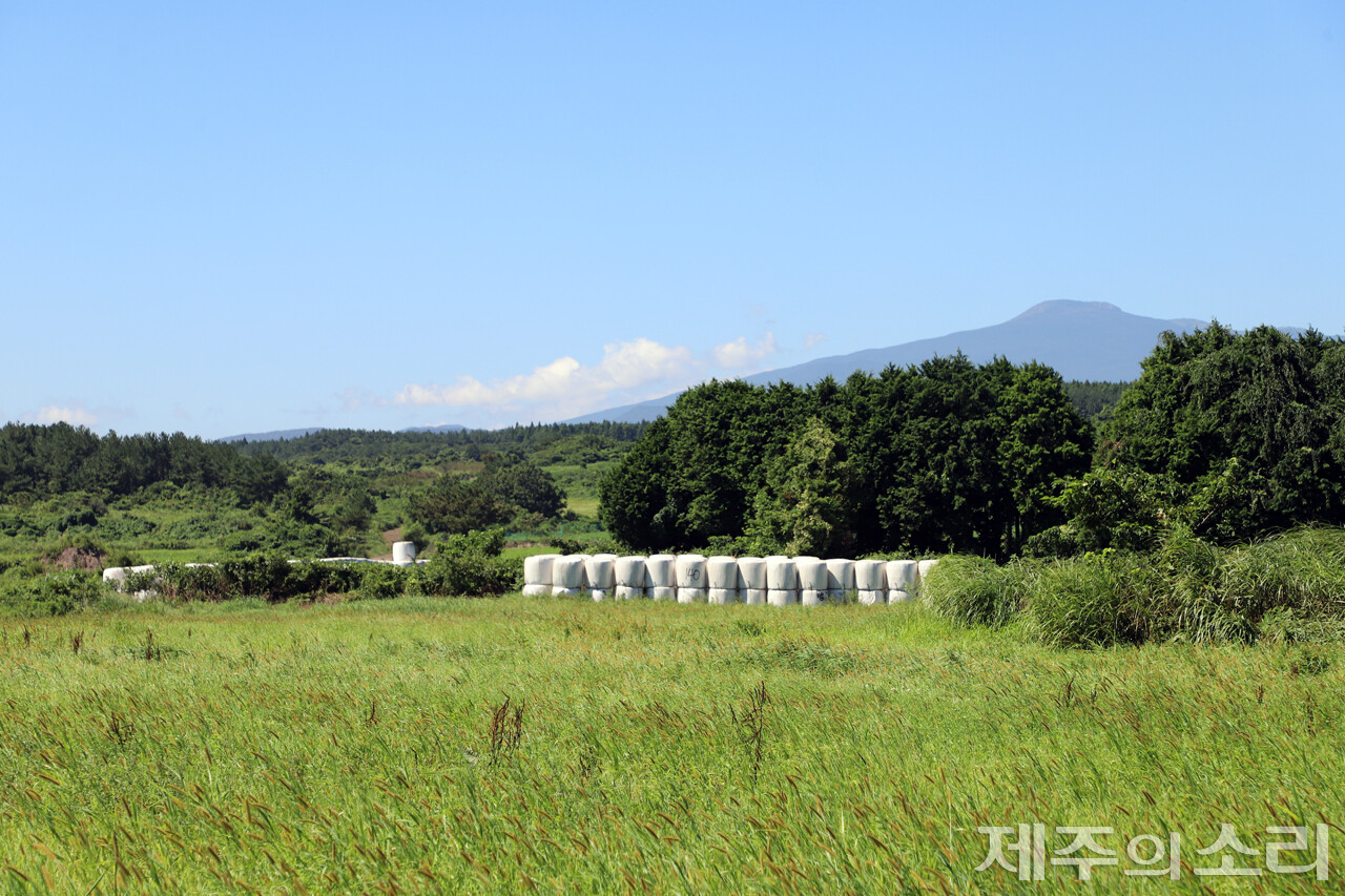 양용찬열사추모사업회, 시민정치연대 제주가치, 제주대 공동자원과 지속가능사회 연구센터, (사)제주생태관광협회, [제주의소리]가 함께하는 ‘탐나는가치 맵핑(mapping)’ 마을공동목장 프로젝트팀은 지난달 31일 송당상동공동목장을 탐방했다.&nbsp;ⓒ제주의소리