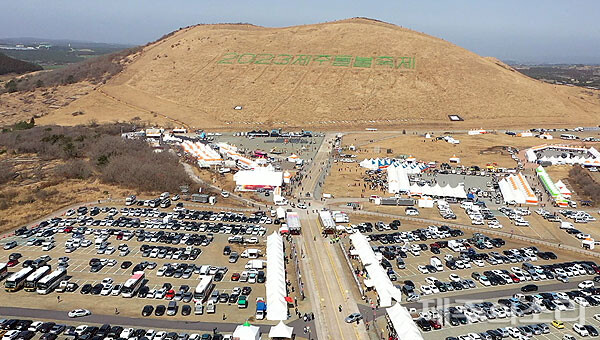 제주들불축제가 열리는 새별오름 전경