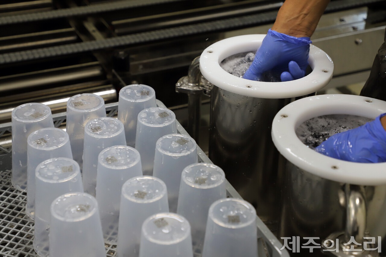 우도면 다회용컵 세척센터에서 작업자가 기계를 통해 내부 솔질 중인 모습. ⓒ제주의소리 자료사진