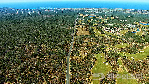 주식회사 살리제가 중산간에 추진하는 제주자연체험파크. 왼쪽의 드넓은 숲이 사업부지다. 당초 공유지였지만 민간에 매각되면서 난개발 논란의 중심에 섰다. ⓒ제주의소리 자료사진