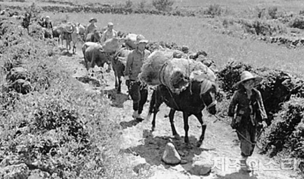 4.3 때 중산간에서 해안가로 피신하는 제주도민들. / 정부 발간 제주4.3사건진상조사보고서 발췌.