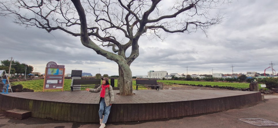 종달리 폭낭에서 출발 기념 샷. / 사진=서명숙