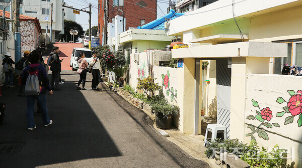 마을안길 벽화와 작은 텃밭들. ⓒ제주의소리