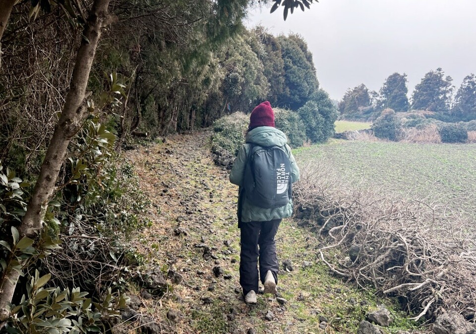 제주올레 14코스를 역방향으로 걷고 있는 서명숙 이사장 / 사진=서명숙