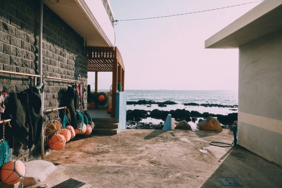 제주올레 8코스 / 사진=서명숙