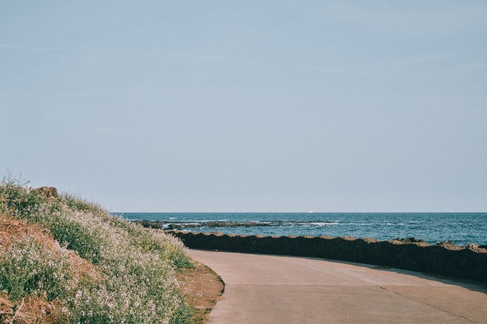 제주올레 8코스 / 사진=서명숙