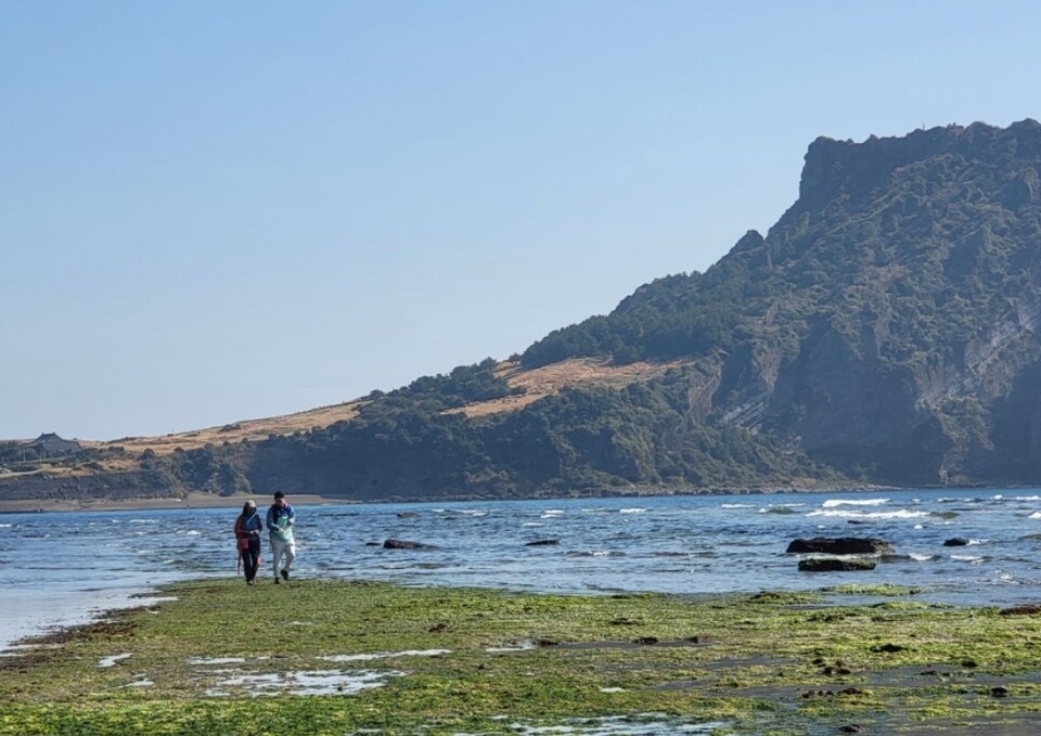 1코스 광치기 해변, 서명숙 이사장과 캐서방