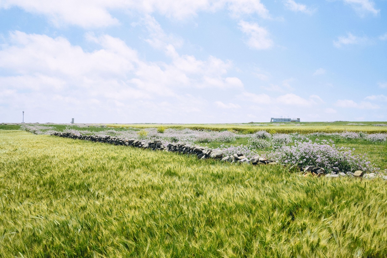 제주올레 10-1 코스(가파도) / 사진=서명숙