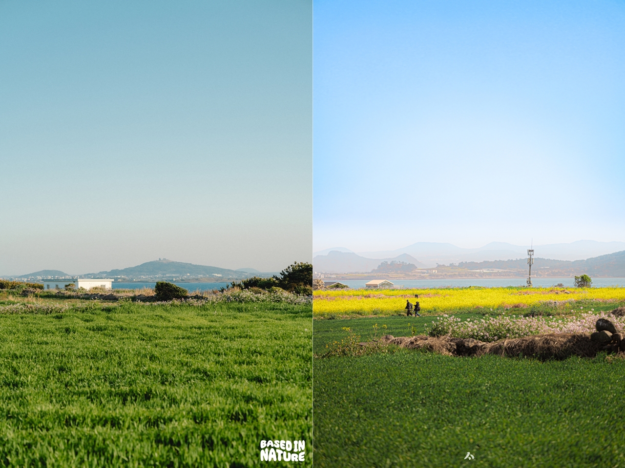 제주올레 10-1코스 (가파도)&nbsp;/ 사진=서명숙