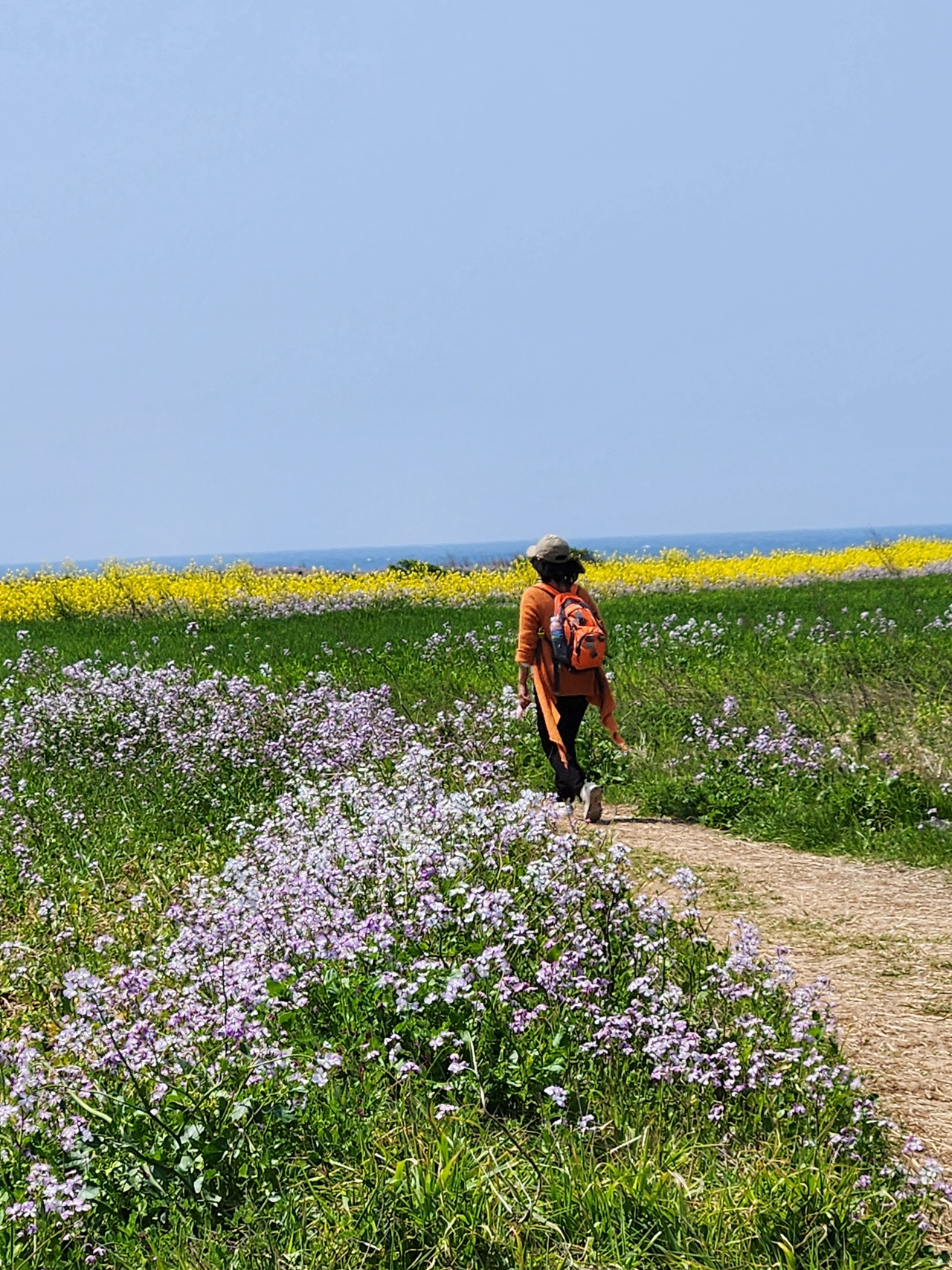 제주올레 10-1코스, 서명숙 이사장 / 사진=서명숙
