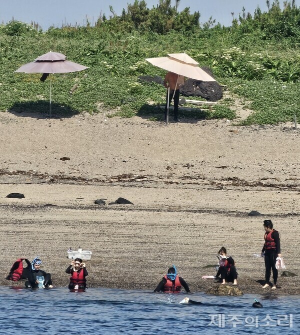 사진 제공=독자. ⓒ제주의소리