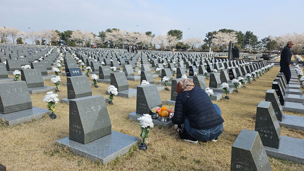 ⓒ제주의소리 자료사진