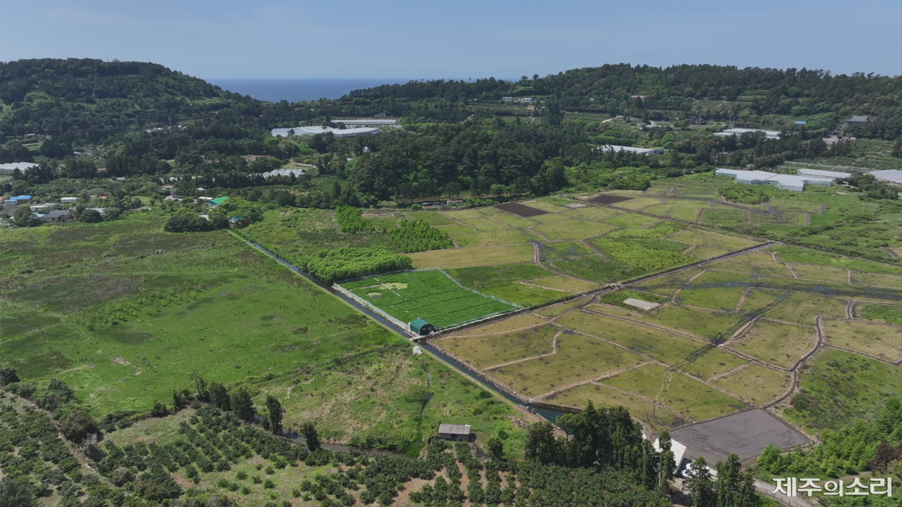 하논분화구 전경. ⓒ제주의소리 자료사진