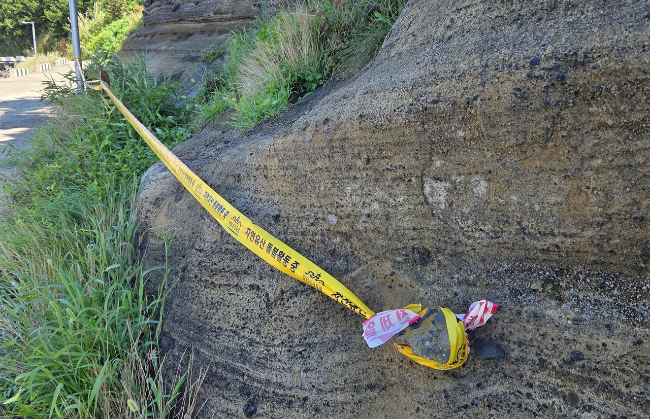 제주시 한경면 고산리 수월봉 화산쇄설층에 연결된 안전 테이프.사진=독자 제공<br>