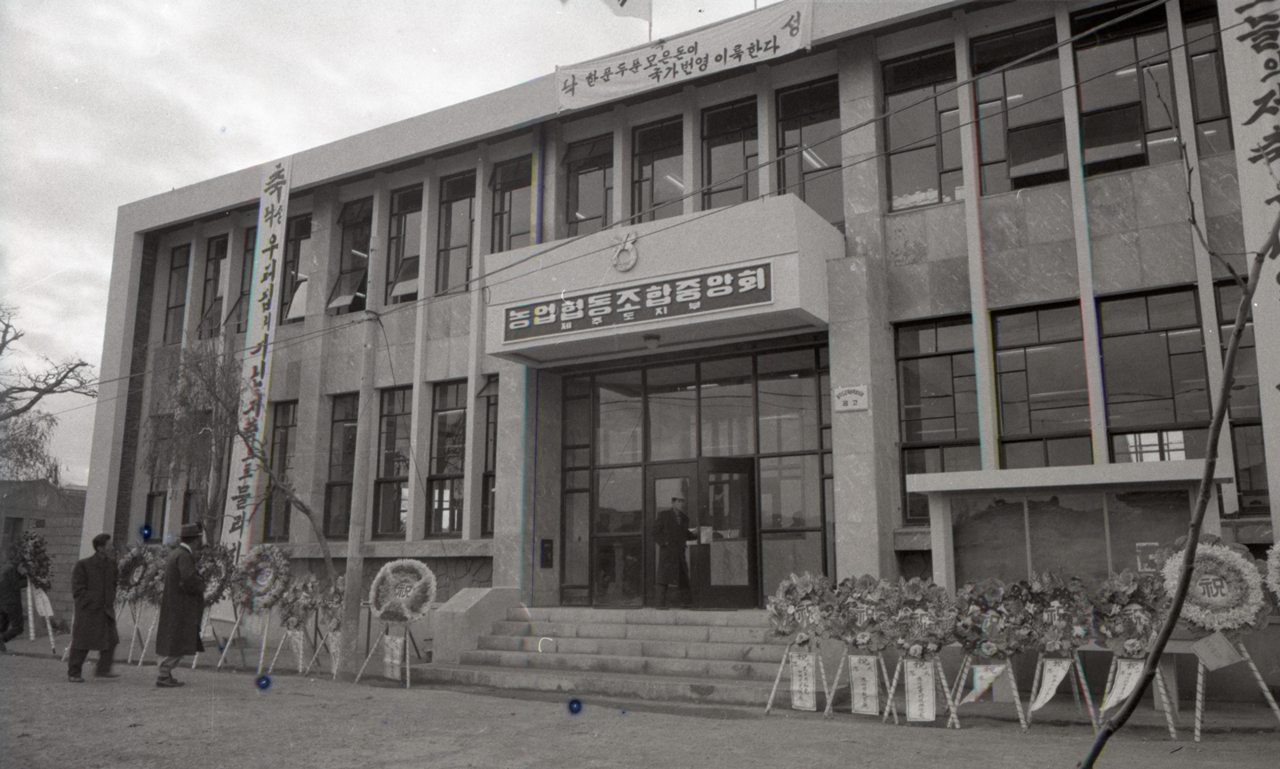 농협중앙회 제주도지부 신축사무소 낙성식(1964.12.19. 이도리1421) / 사진=제주도
