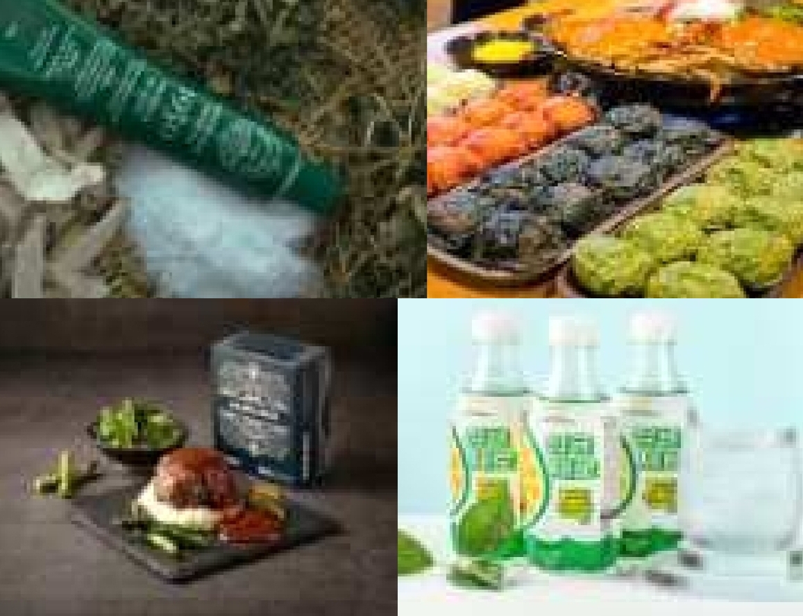 정부 선정 '2025 강한 소상공인 성장지원' 제주 기업 4곳, 어디? - 뉴스 썸네일 이미지