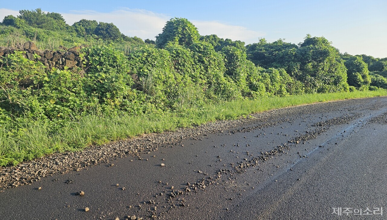 지난 16일 오전 서귀포시 성산읍 시흥리의 한 도로에 자갈이 깔려있는 모습. 사진 제공=독자ⓒ제주의소리