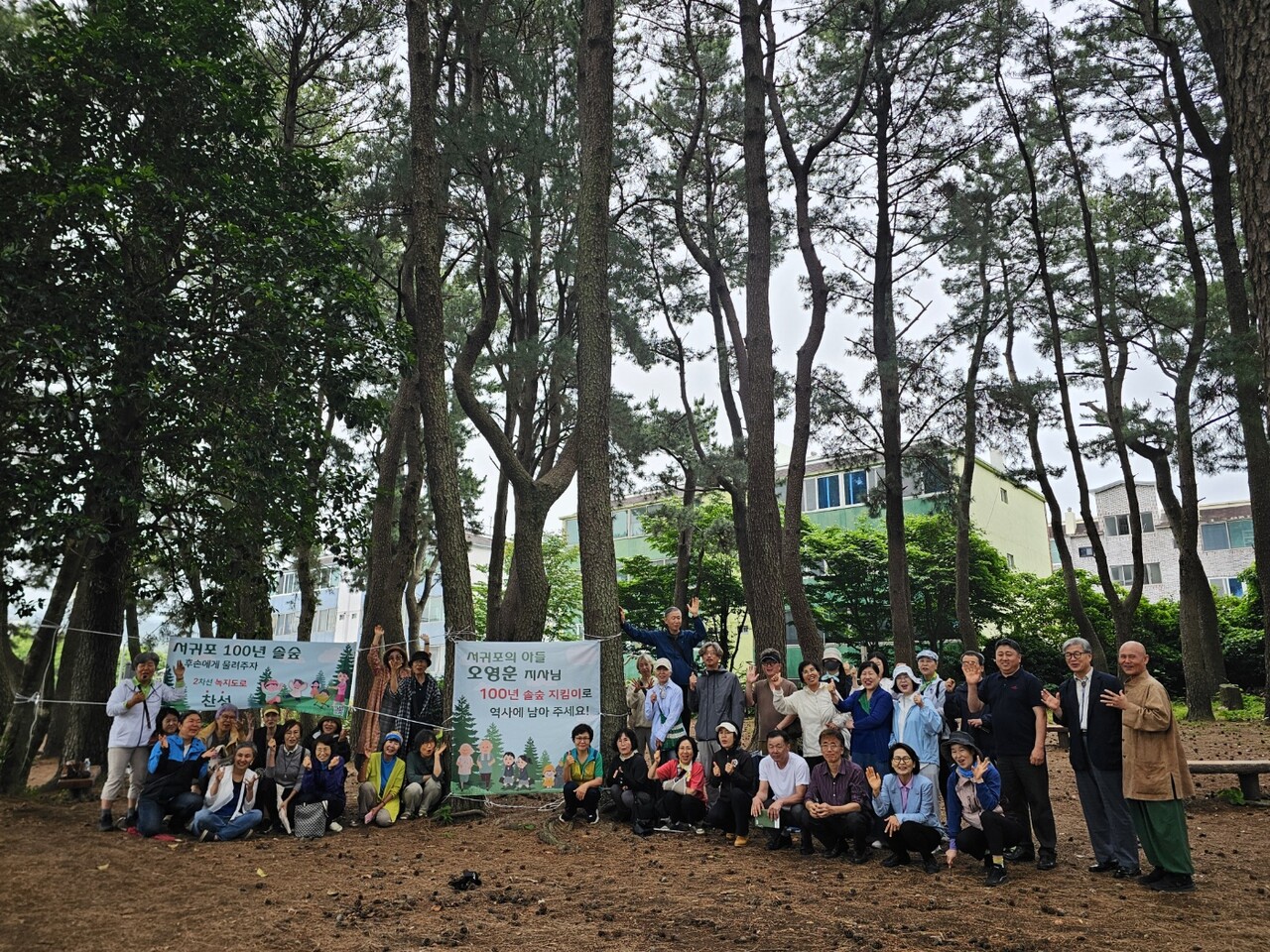 서귀포 동홍동 솔숲 / 사진=한국내셔널트러스트 누리집