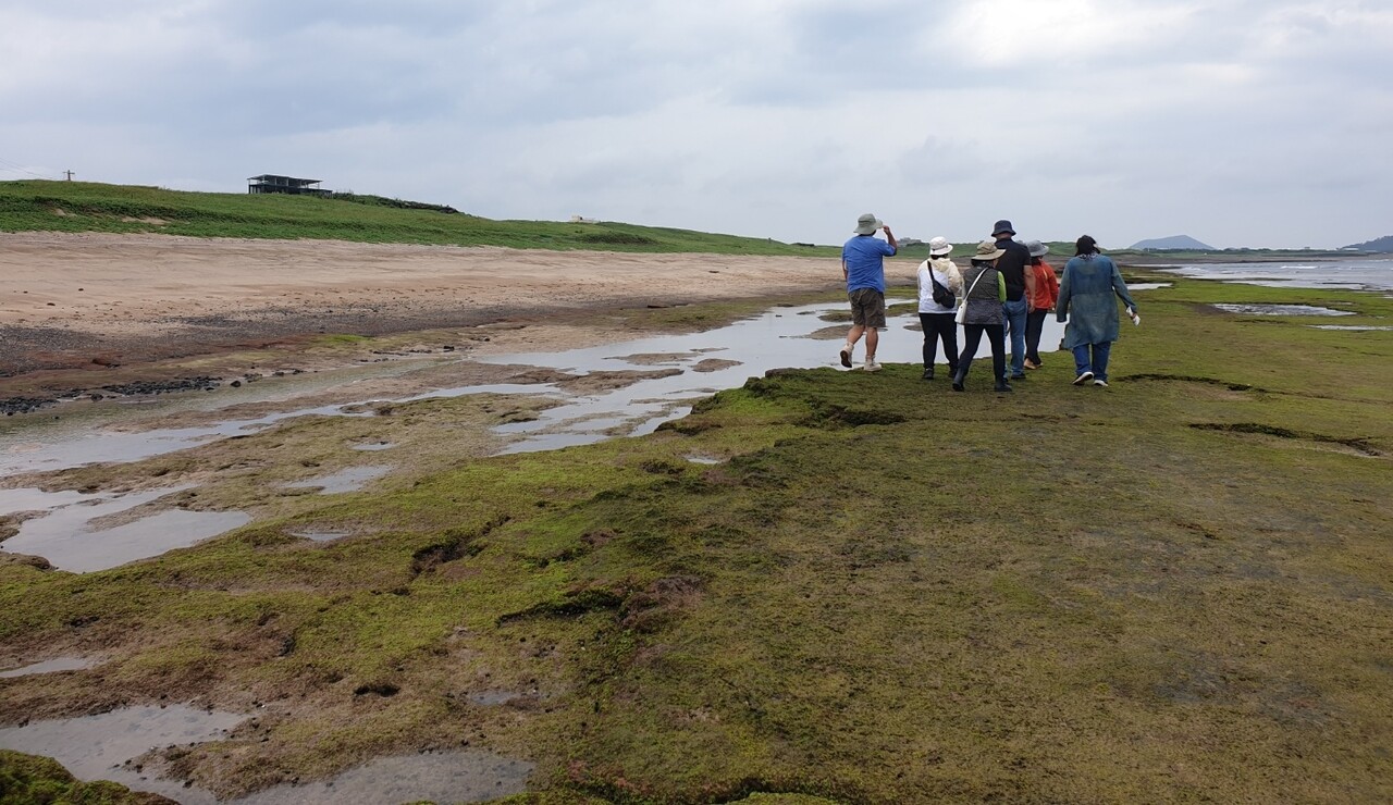 신양 해안사구와 신양리층  / 사진=한국내셔널트러스트 누리집