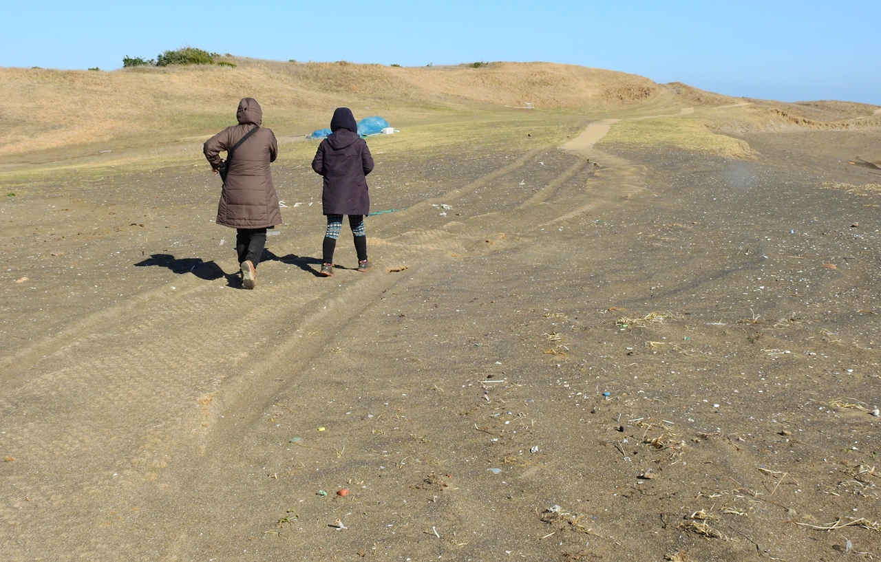 신양 해안사구와 신양리층  / 사진=한국내셔널트러스트 누리집