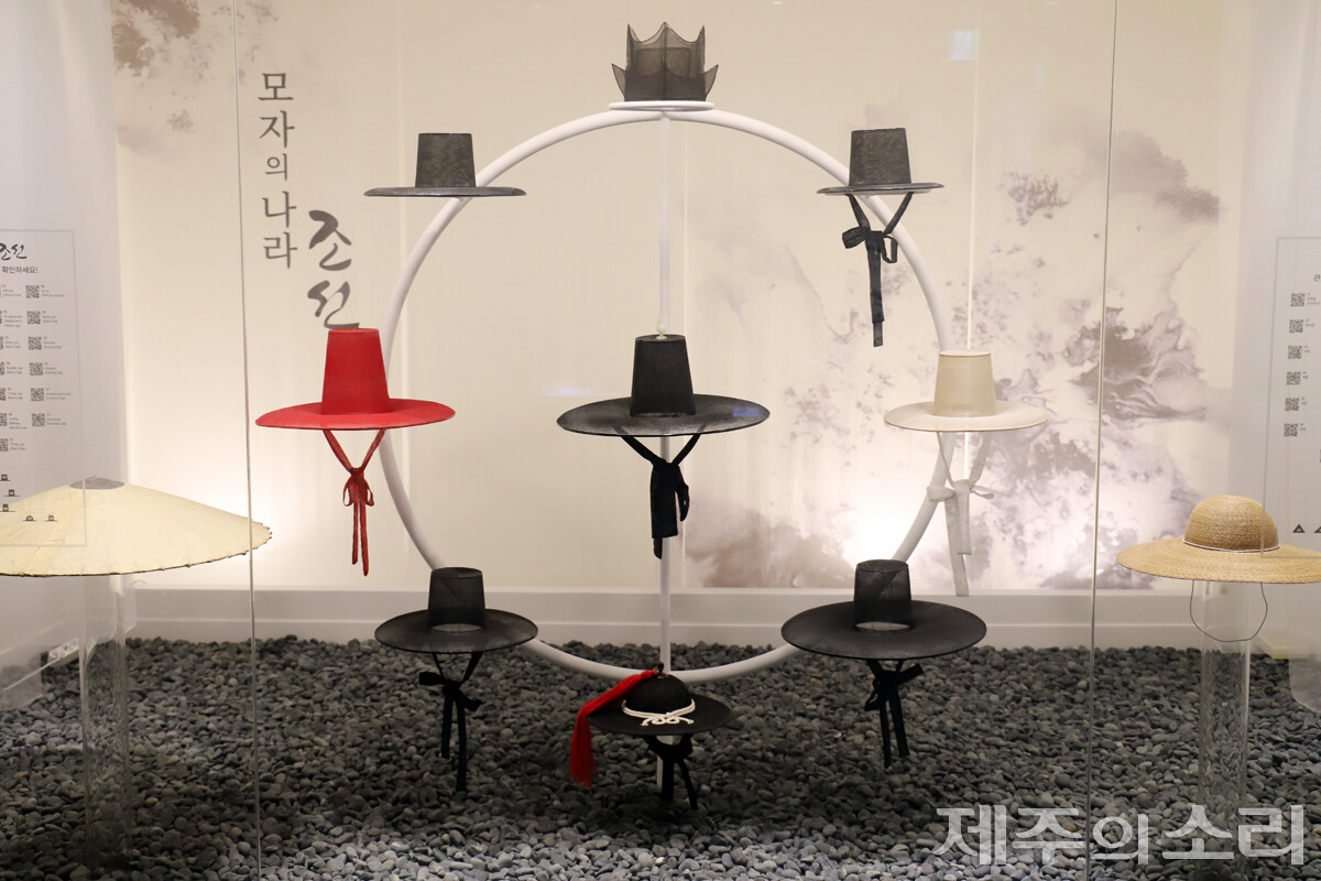 모자의 나라 조선. 가장 가운데가 옥로립(박쥐문양 갓)이다. 가장 위쪽부터 시계방향으로 정자관, 사립, 백립, 포립, 전립, 포립, 주립, 사립이다. ⓒ제주의소리