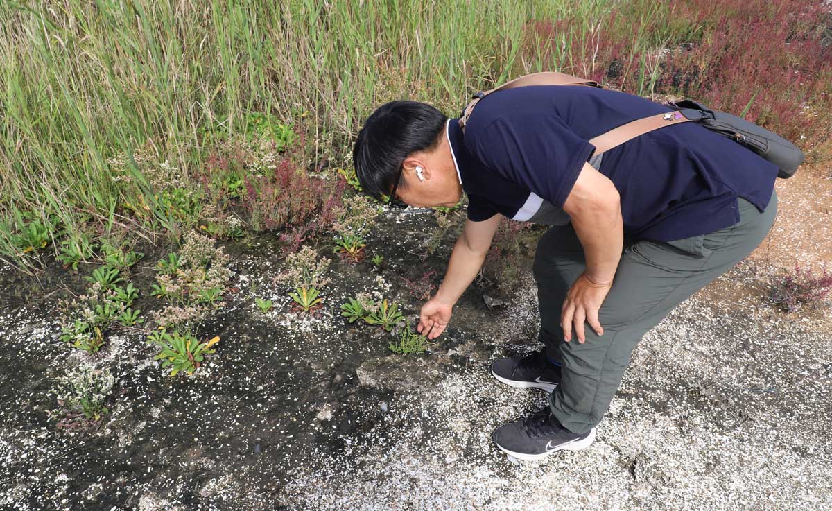 새만금신공항 부지 내 식생을 설명하고 있는 구중서&nbsp;새만금신공항 백지화공동행동 공동집행위원장. ⓒ제주의소리
