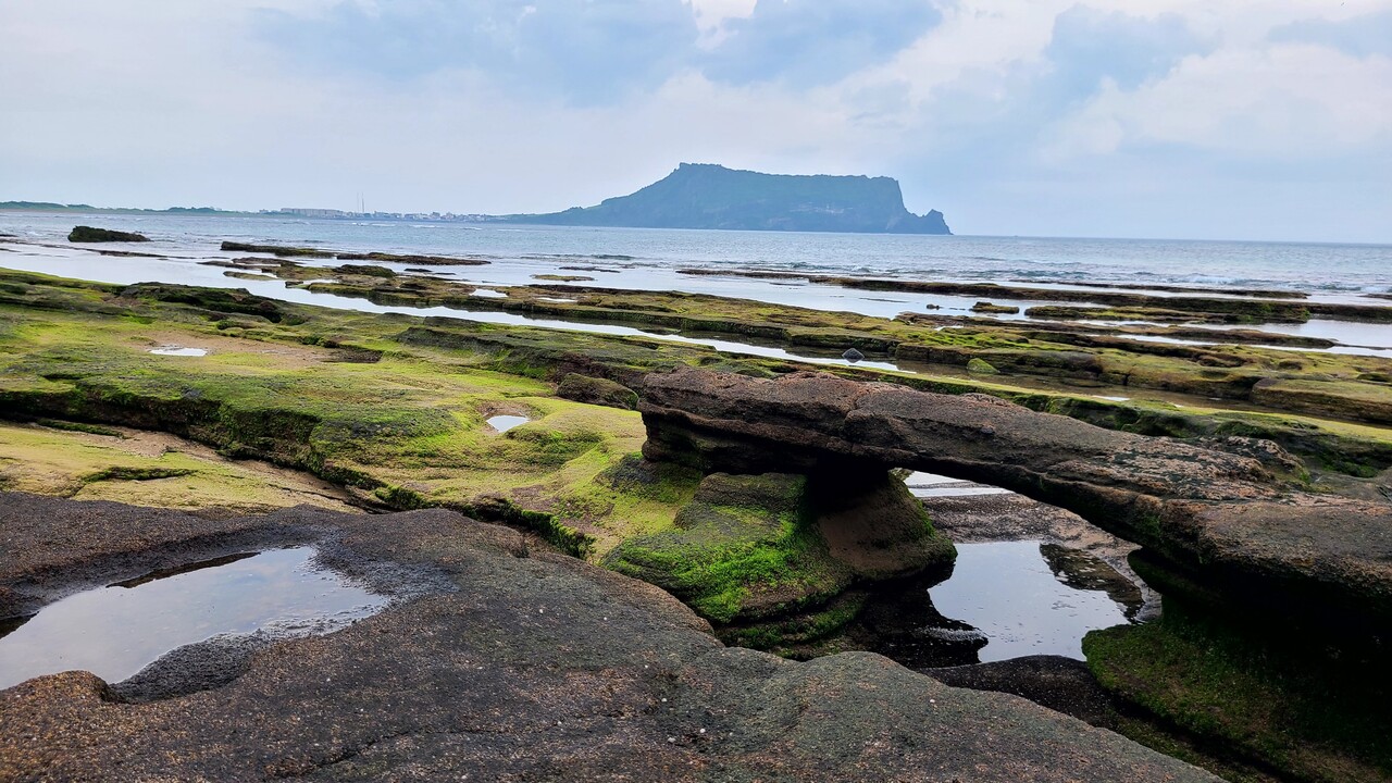 성산일출봉과 신양리층. 사진=제주자연의벗.<br>