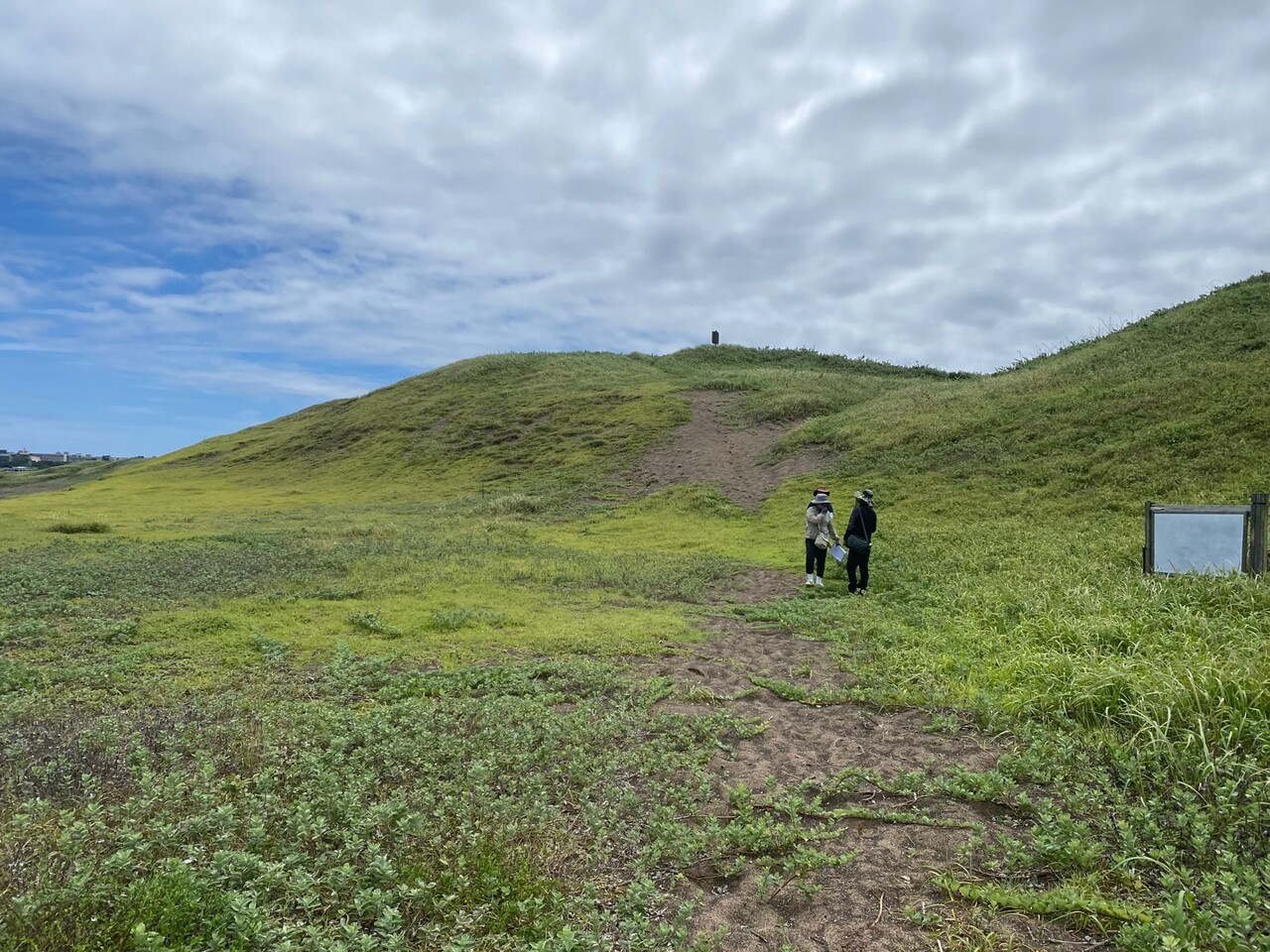 신양 해안사구. 사진=제주자연의벗.<br>