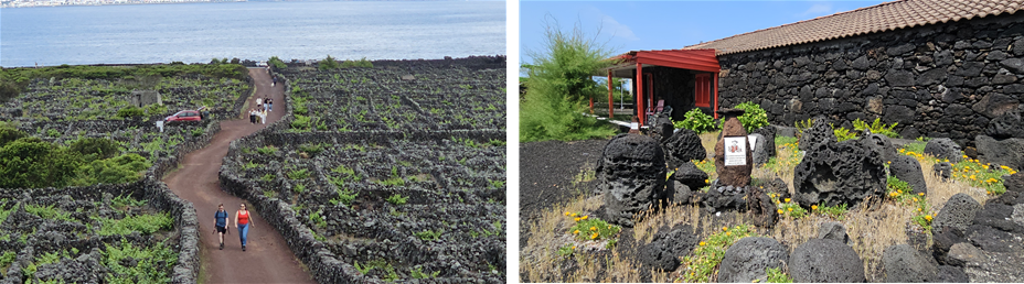 피쿠섬의 돌담길(왼쪽), 플로레스섬의 돌집(오른쪽)