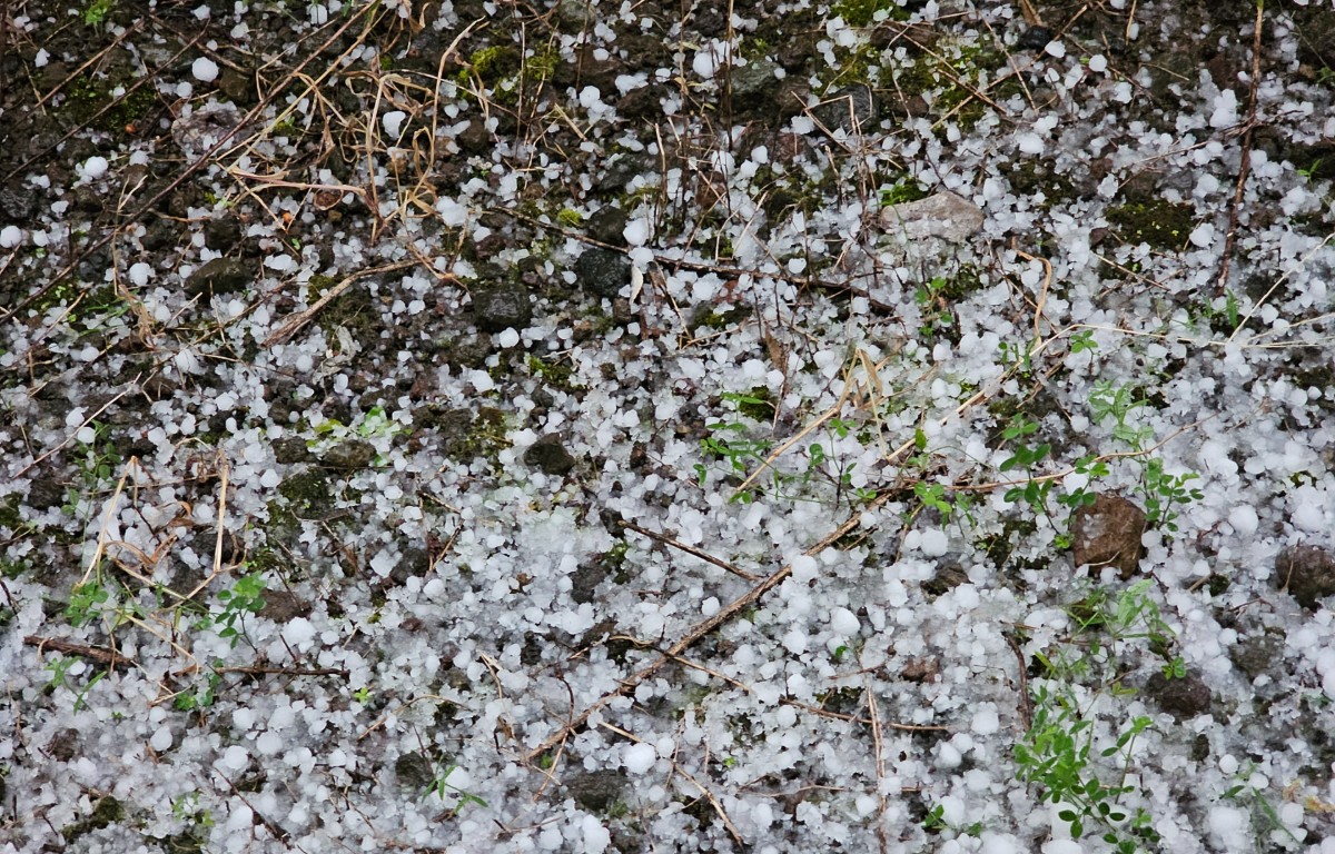 25일 제주에 쌓인 우박 덩어리. ⓒ제주의소리