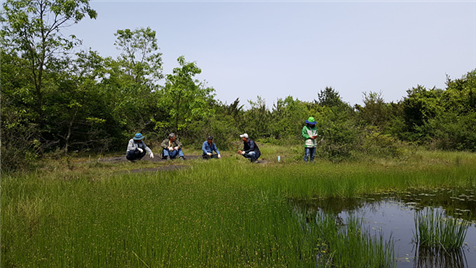 제주시 조천읍 습지(쇠무리깡물)와 지역 주민들.