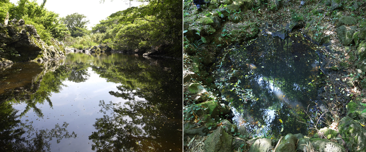 사진 왼쪽은 광평리 행기소, 오른쪽은 영남리 우물. ⓒ제주의소리