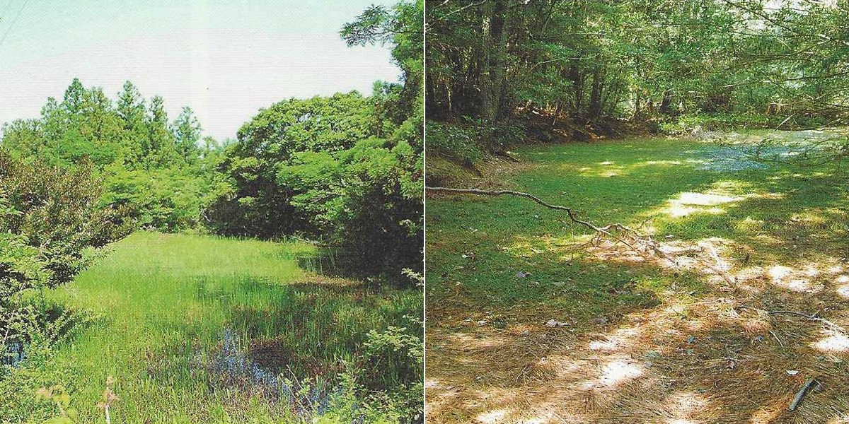 선흘 동백습지에서 논농사를 지었다는 이만재논(사진 왼쪽)과 웃새물. ⓒ제주의소리