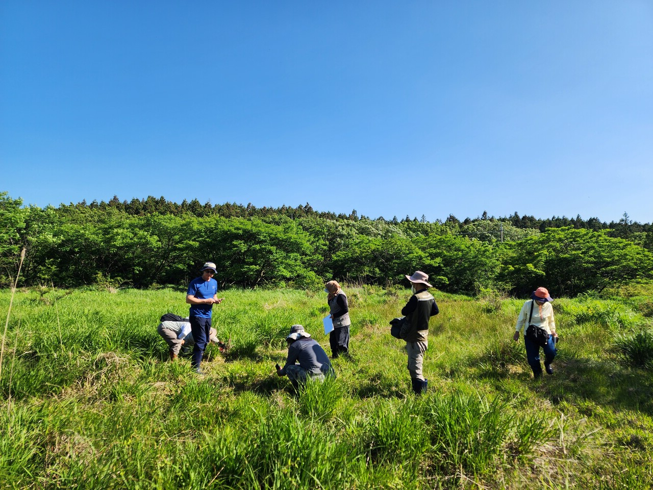 5월 관찰모습. 사진=김정자