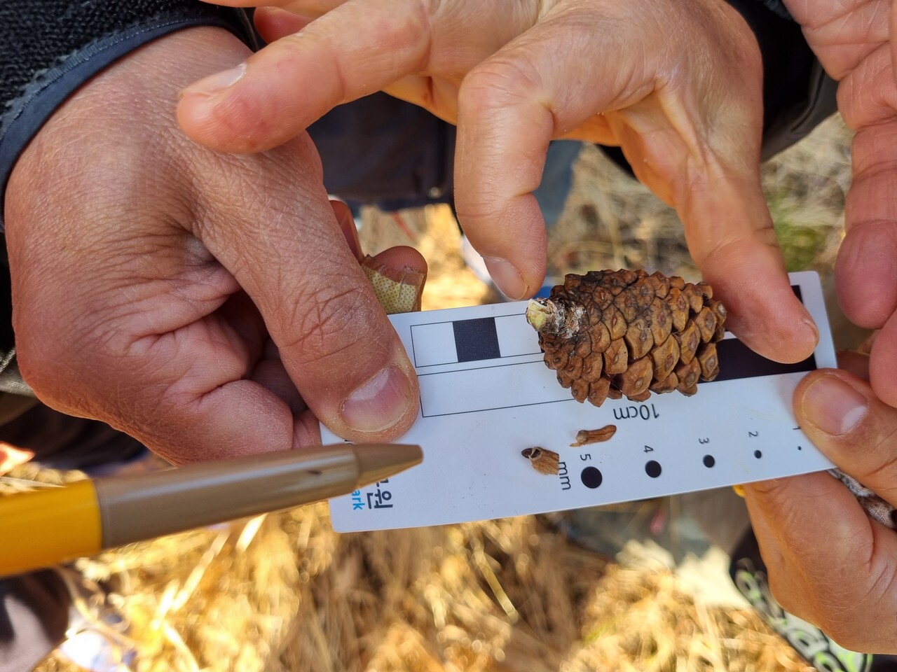 씨앗 관찰. 사진=김정자