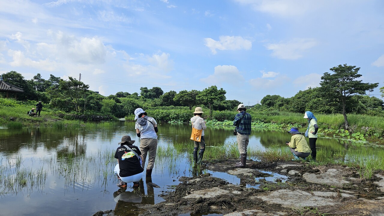 습지조사.