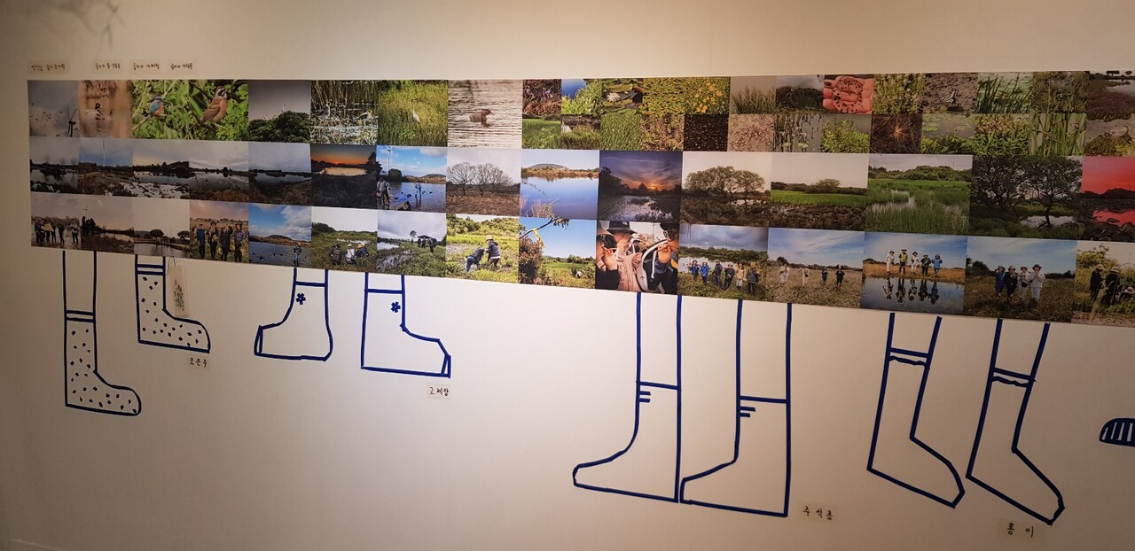 습지조사 전시회.