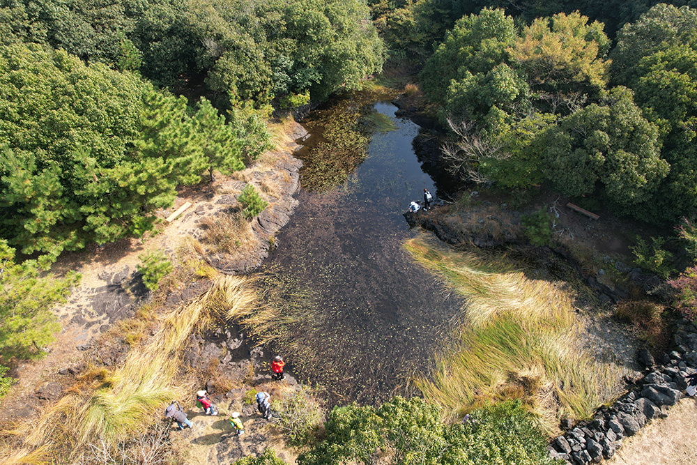 동백동산 먼물깍 습지. ⓒ고제량