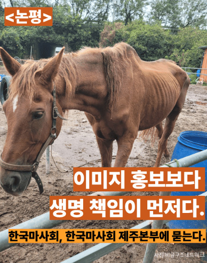 생명환경권행동 제주비건은 14일 논평을 내고 “한국마사회와 한국마사회 제주지역본부는 이미지 홍보보다 생명 책임이 먼저다”라고 밝혔다.<br>